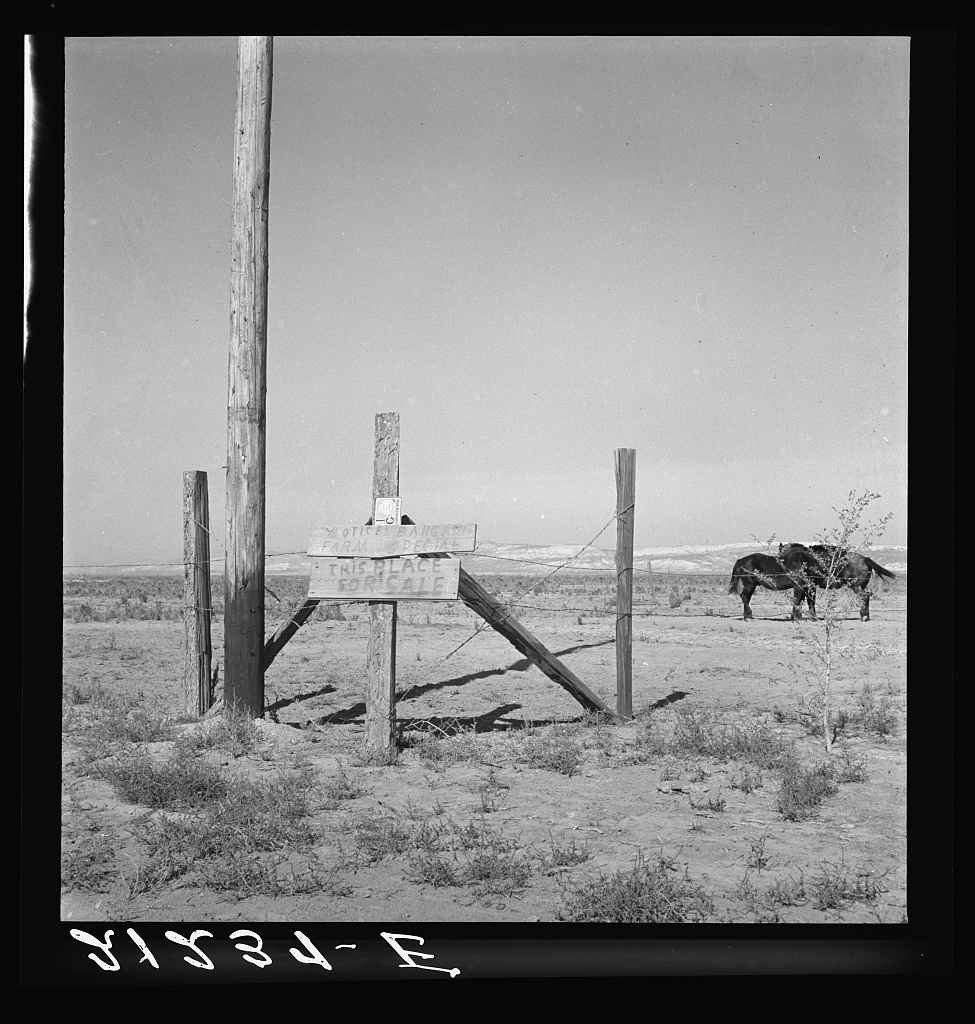 dorothea_lange_8b35081v